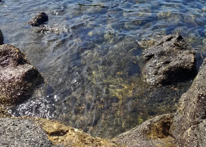 O Aconchegadinho Apartamento