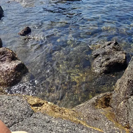 O Aconchegadinho Apartment